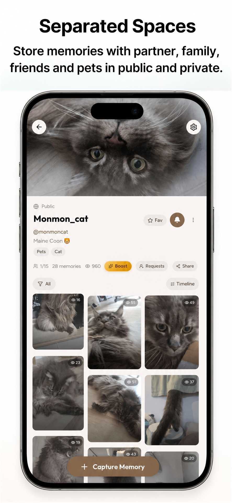 Hapmory feature 5
